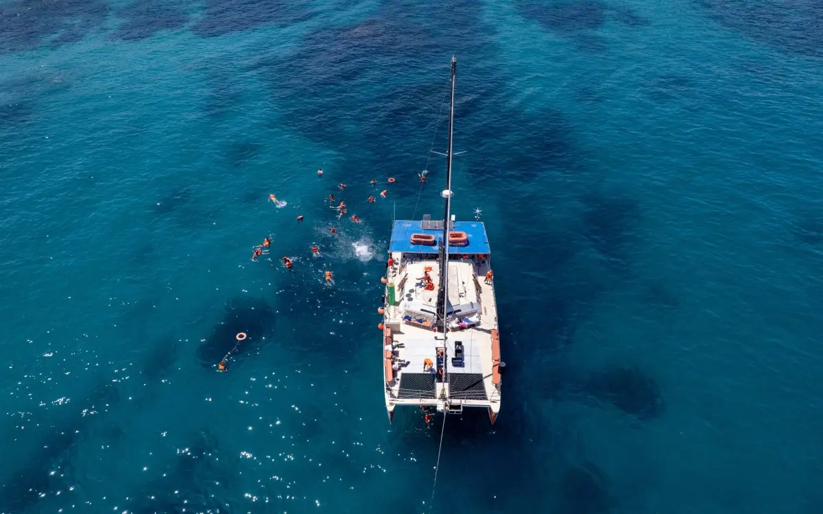 Tour de Snorkel en Cabo San Lucas